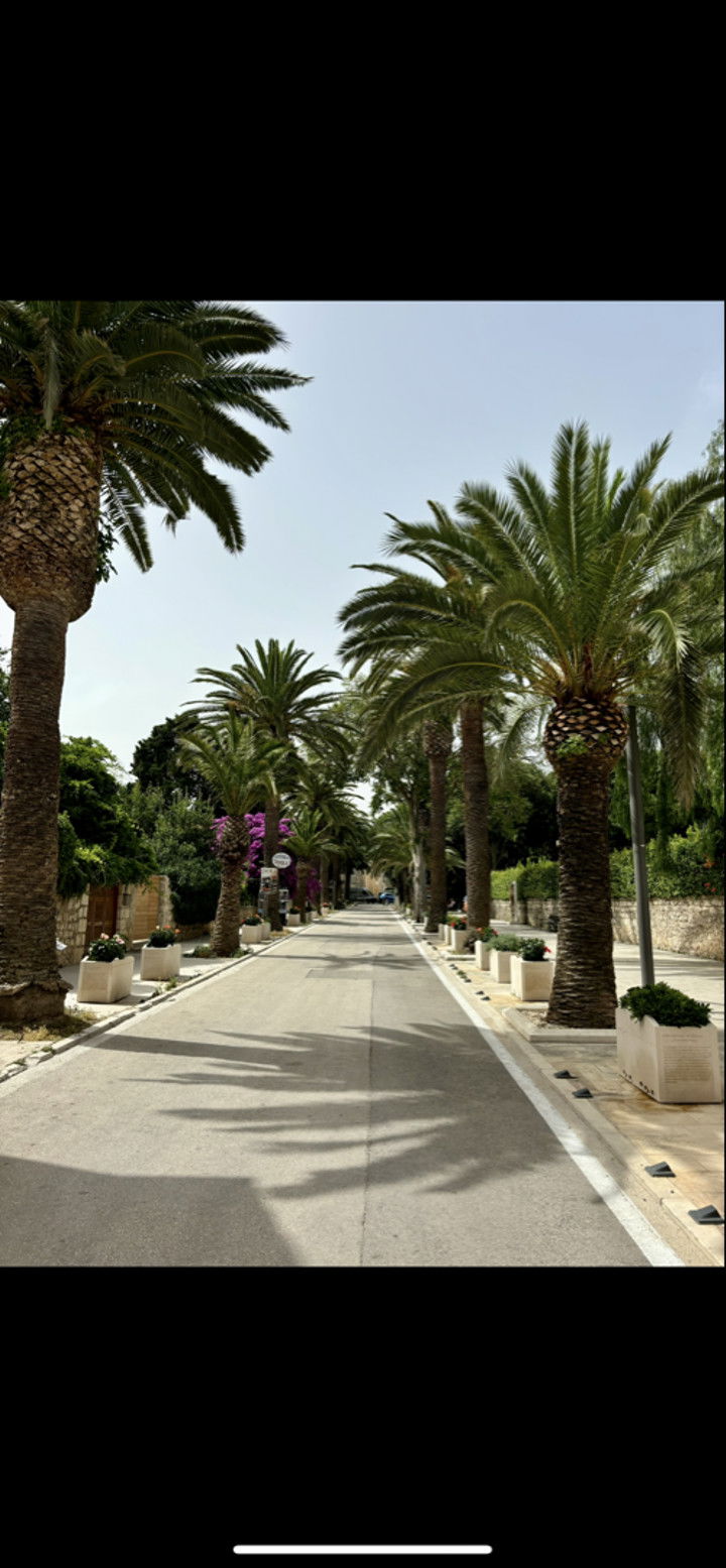 mia_sweitz snapchat image archive image