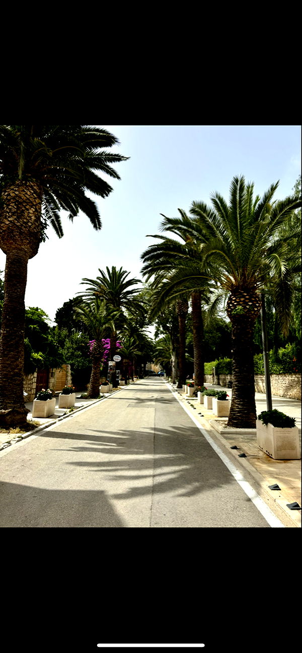 mia_sweitz image ~ Altpins