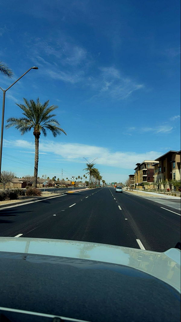 mia_sweitz image ~ Altpins