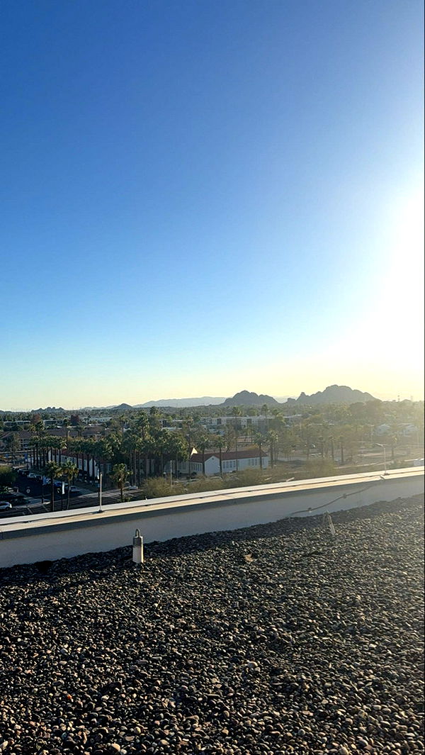 mia_sweitz image ~ Altpins