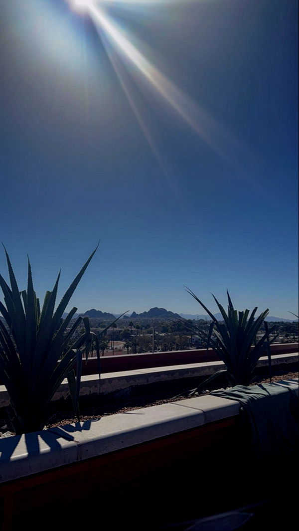 mia_sweitz image ~ Altpins