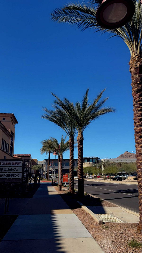 mia_sweitz image ~ Altpins