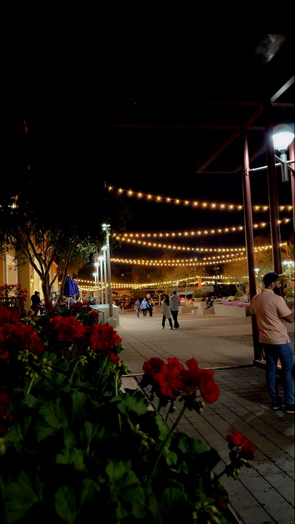 mia_sweitz image ~ Altpins