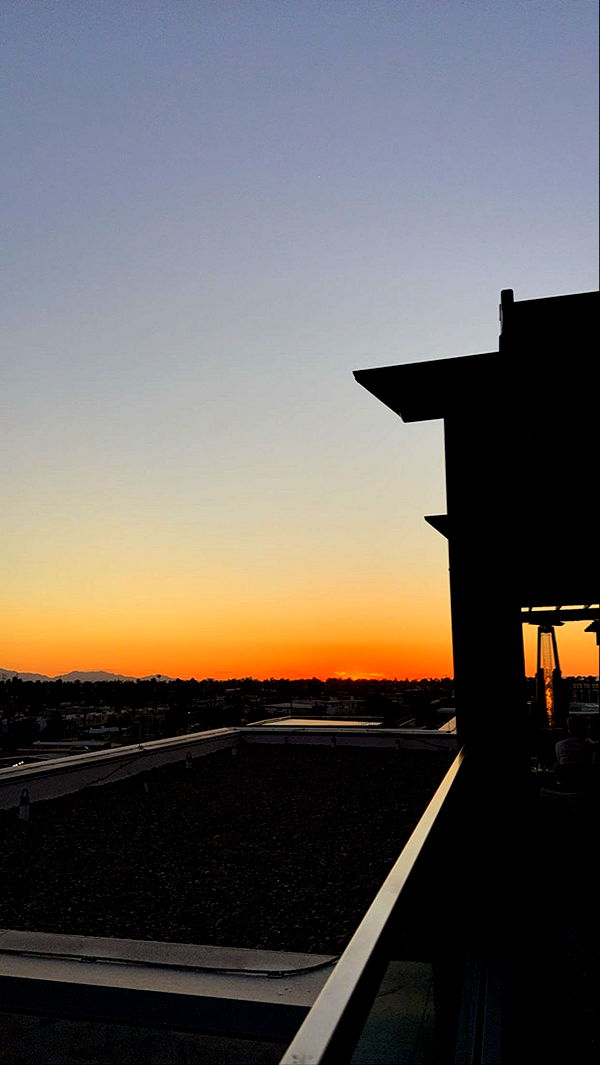 mia_sweitz image ~ Altpins