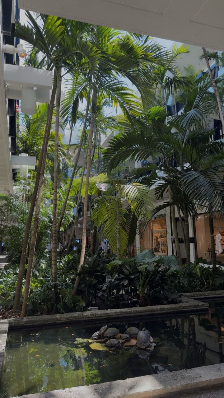 mia_sweitz snapchat image archive image