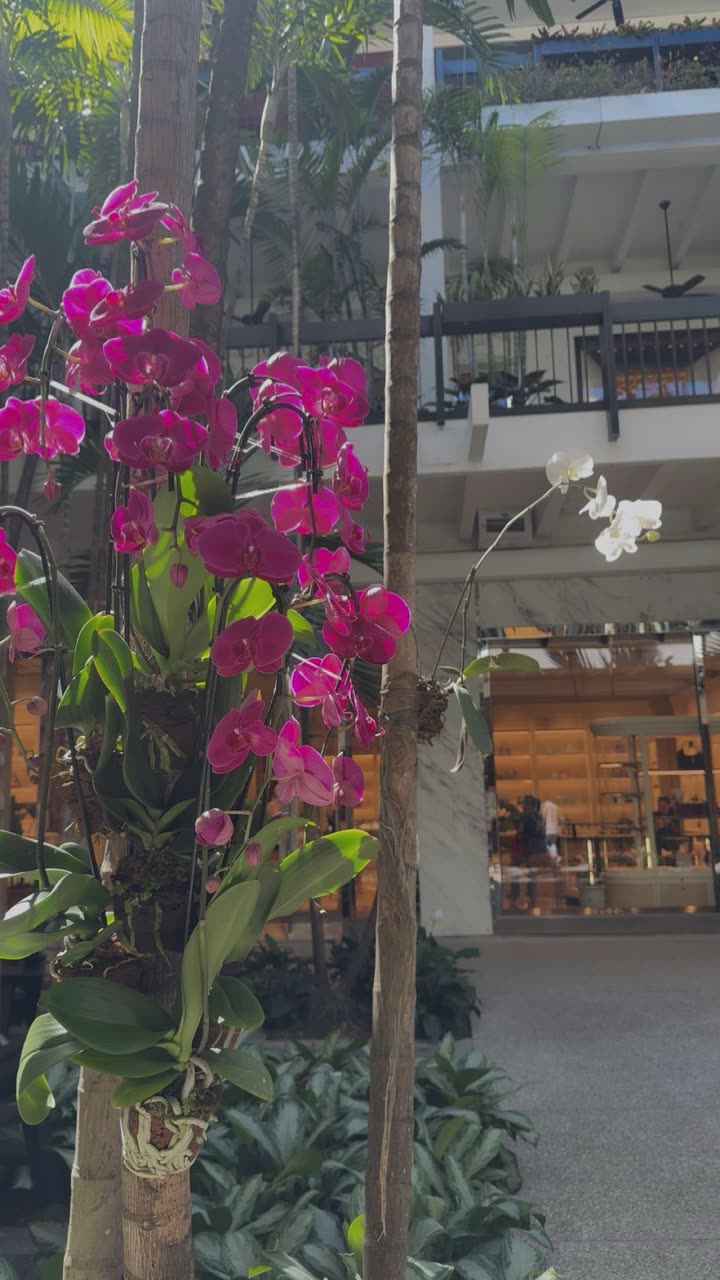 mia_sweitz snapchat image archive image