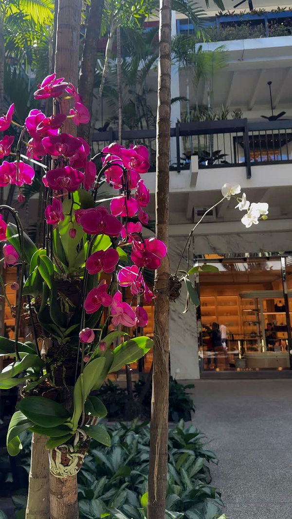 mia_sweitz image ~ Altpins