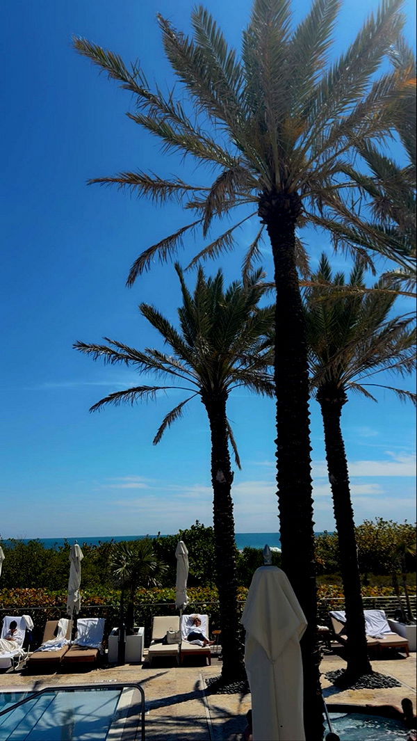 mia_sweitz image ~ Altpins