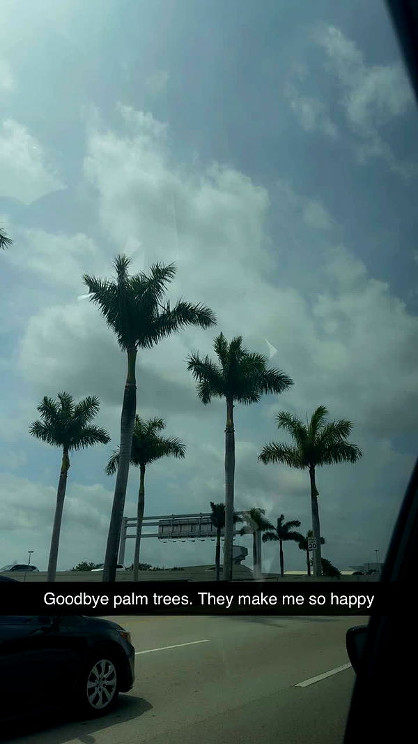 mia_sweitz image ~ Altpins