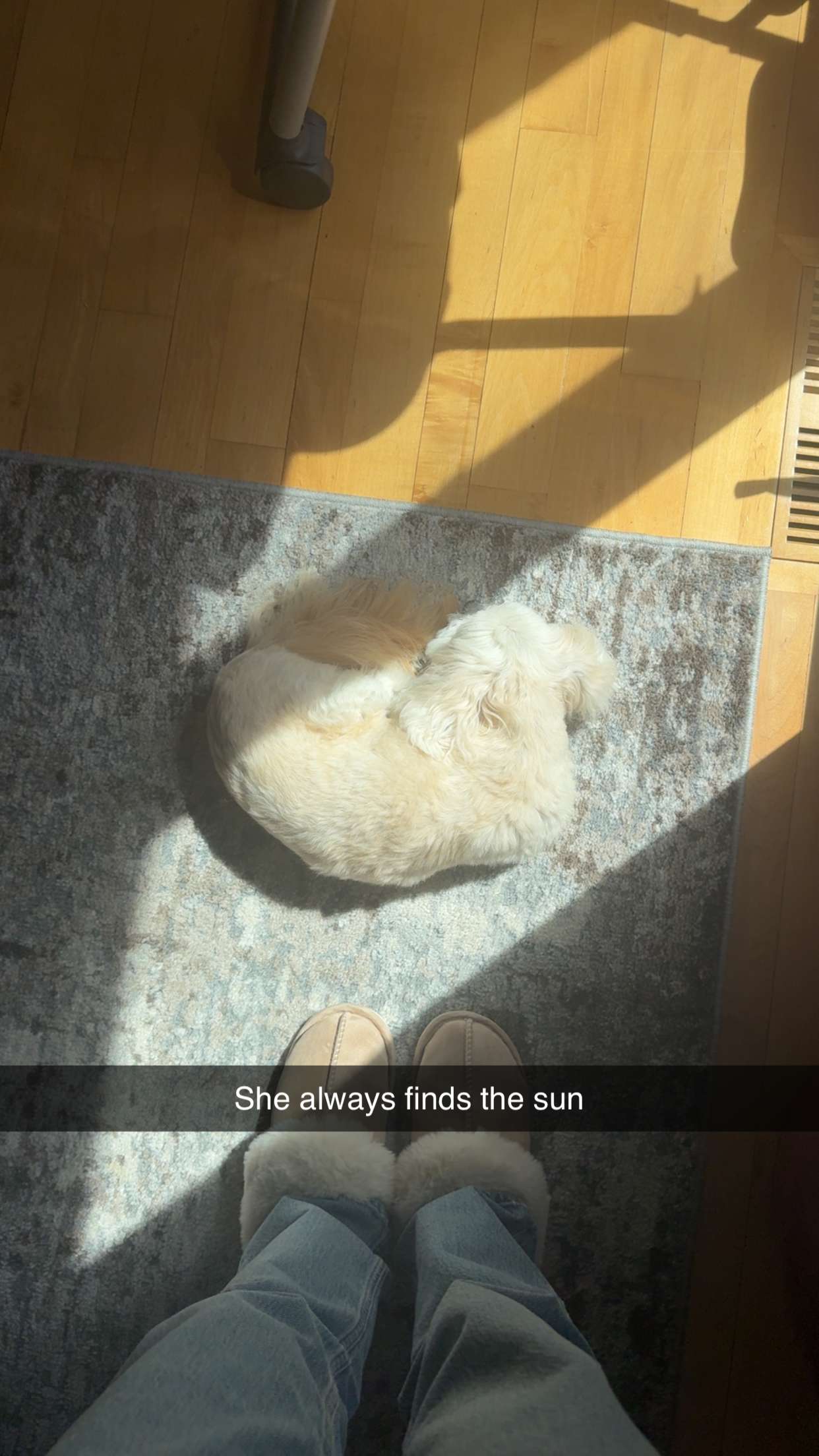 mia_sweitz snapchat image archive image