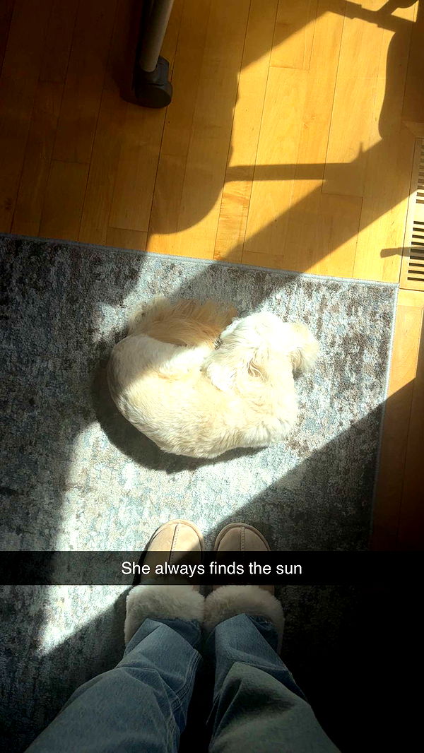 mia_sweitz image ~ Altpins