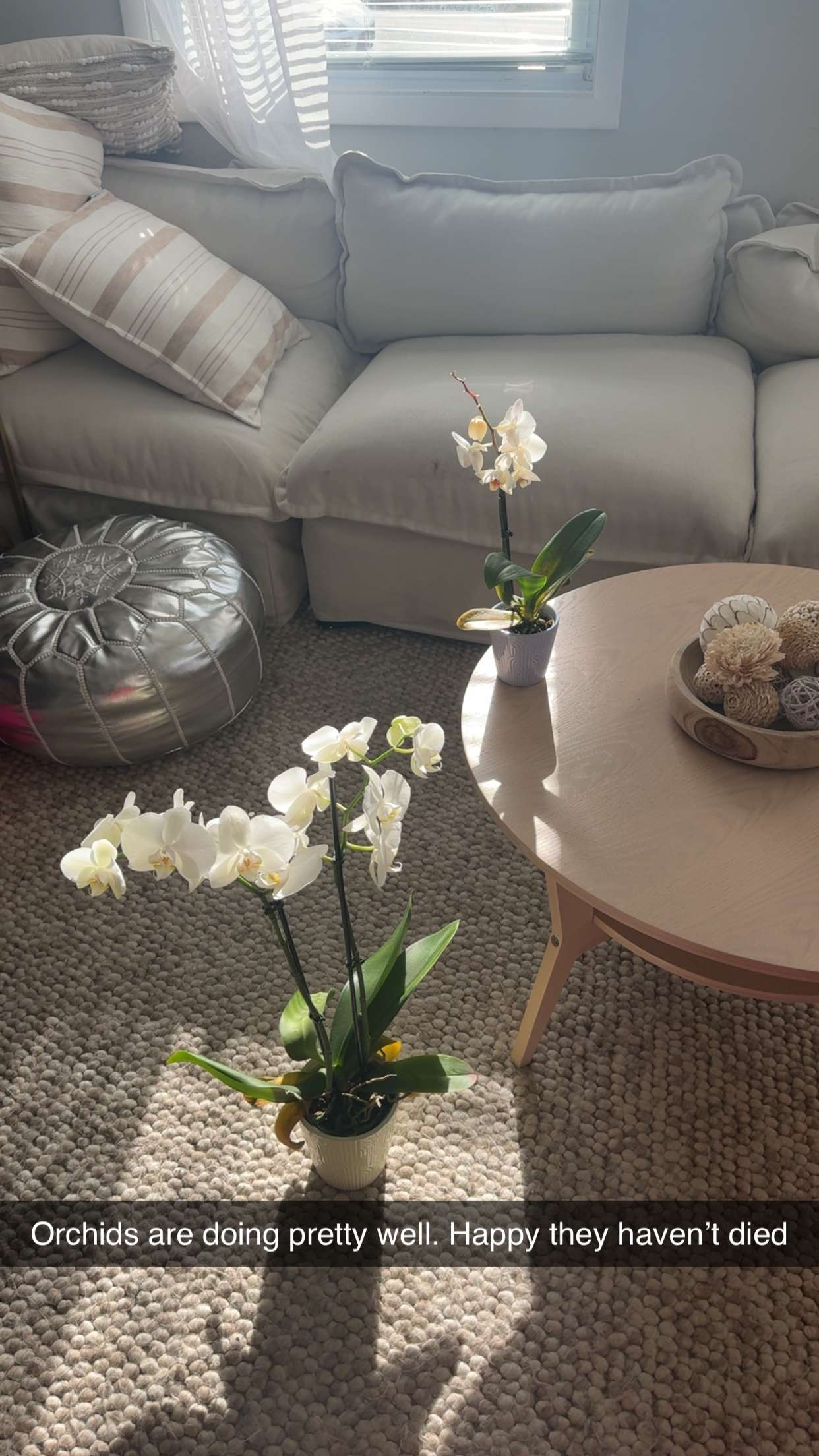 mia_sweitz snapchat image archive image