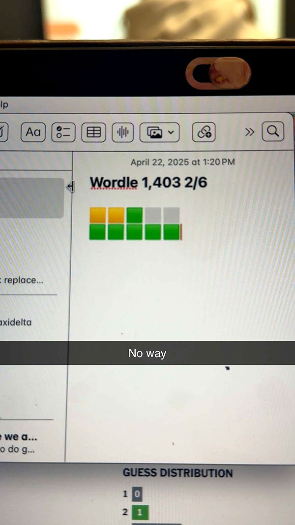 mia_sweitz image ~ Altpins