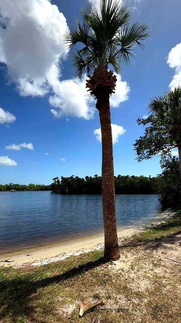 mia_sweitz image ~ Altpins