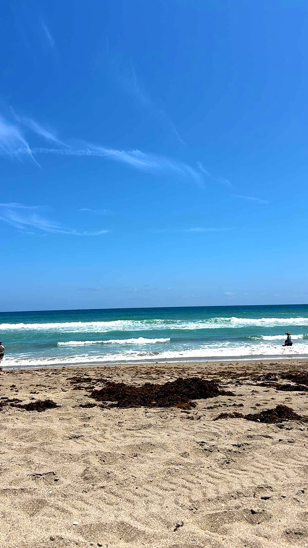 mia_sweitz image ~ Altpins