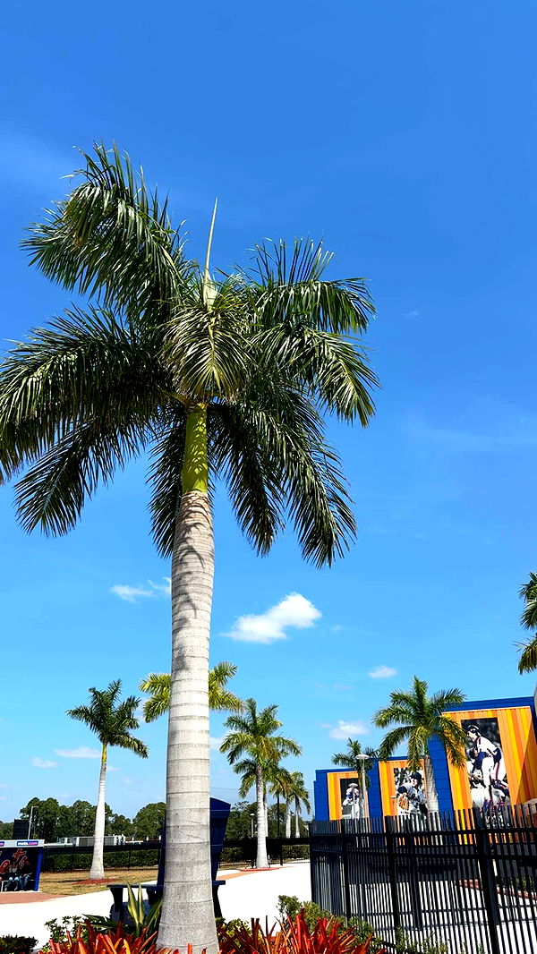 mia_sweitz image ~ Altpins