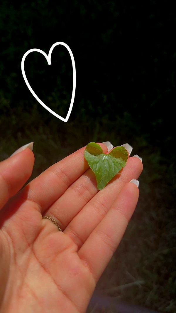 mia_sweitz image ~ Altpins