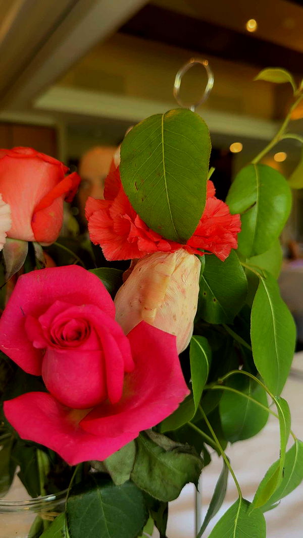 mia_sweitz image ~ Altpins