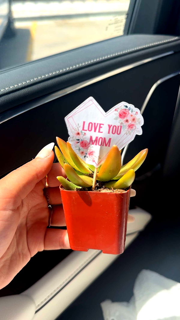 mia_sweitz image ~ Altpins