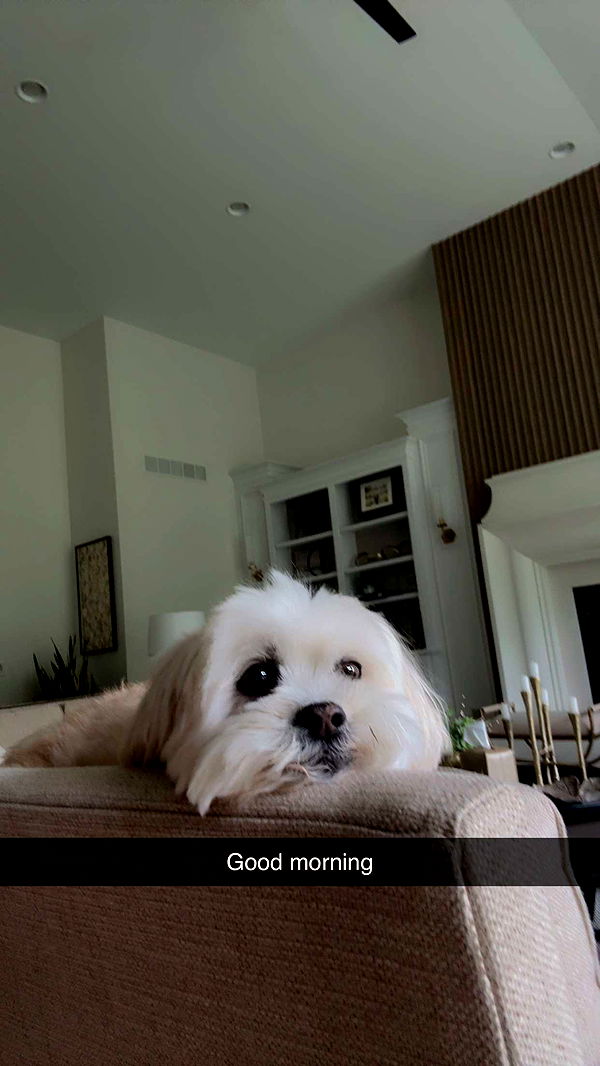 mia_sweitz image ~ Altpins