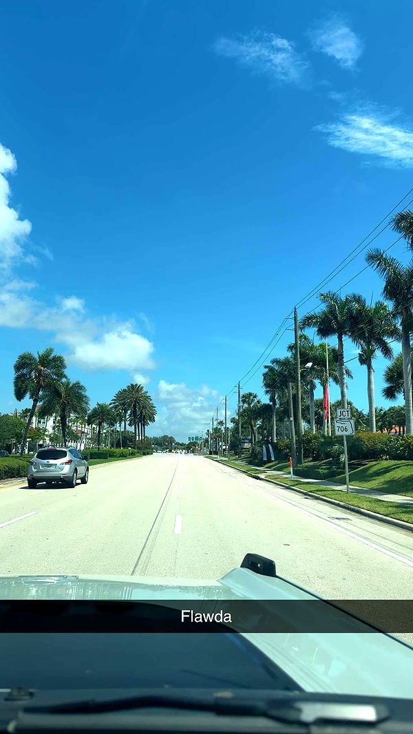 mia_sweitz image ~ Altpins