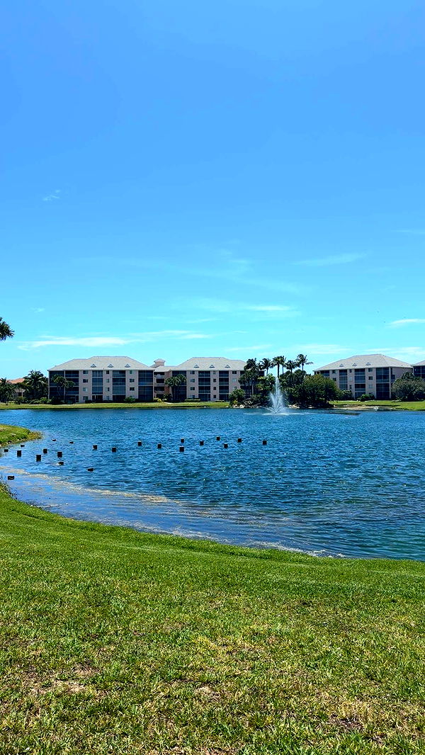 mia_sweitz image ~ Altpins