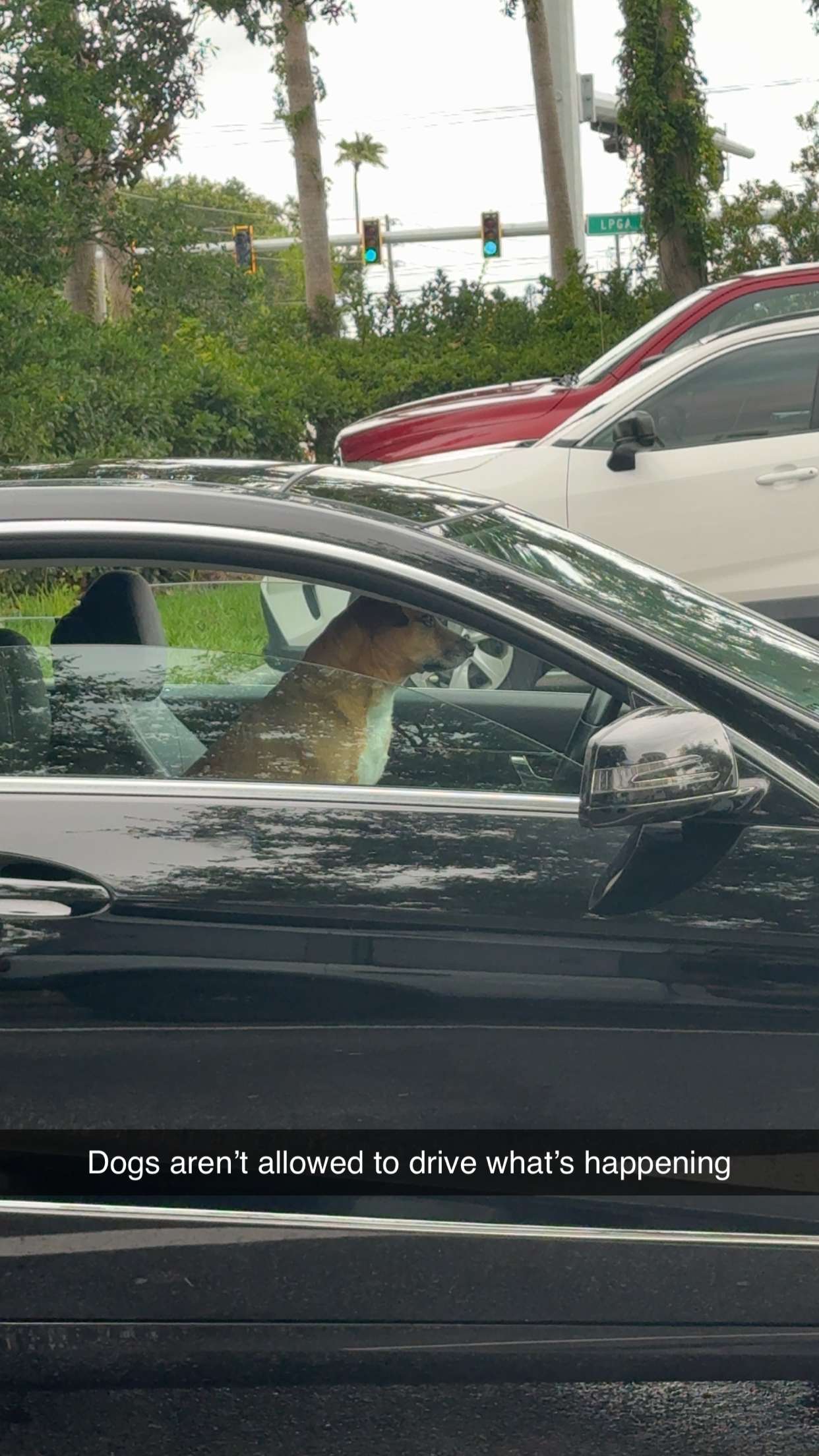 mia_sweitz snapchat image archive image