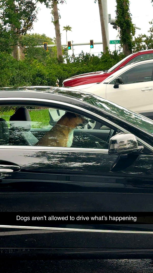 mia_sweitz image ~ Altpins