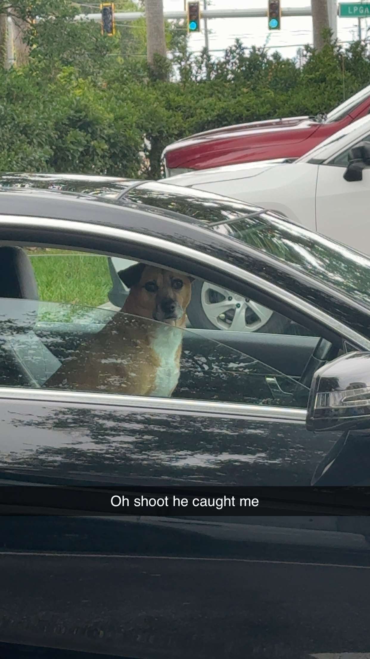 mia_sweitz snapchat image archive image