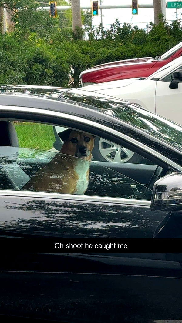 mia_sweitz image ~ Altpins