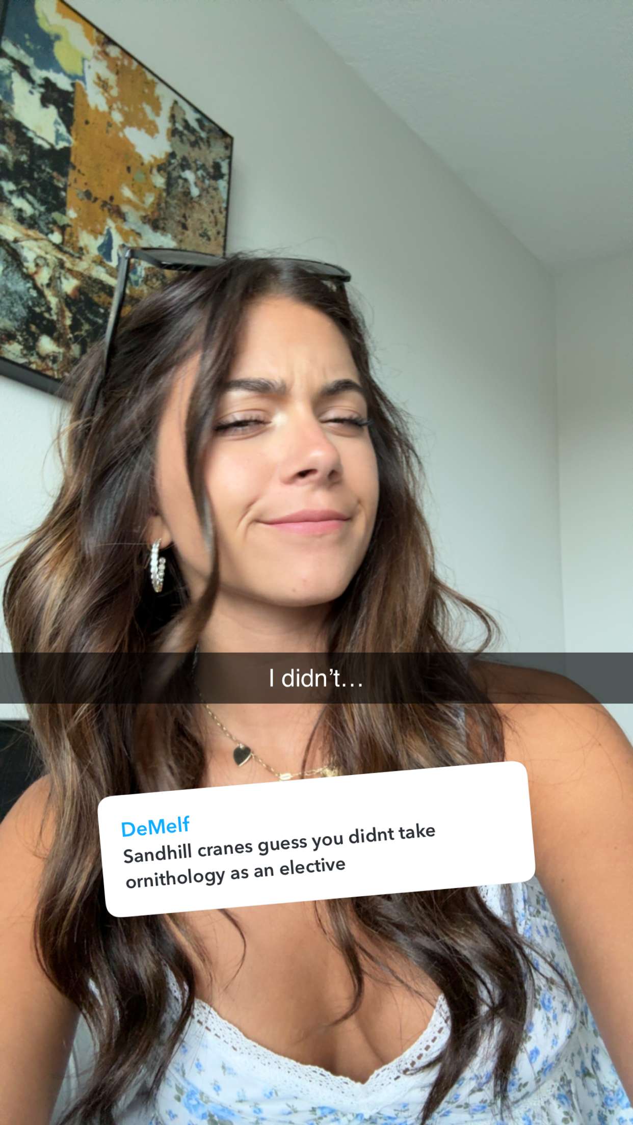 mia_sweitz snapchat image archive image