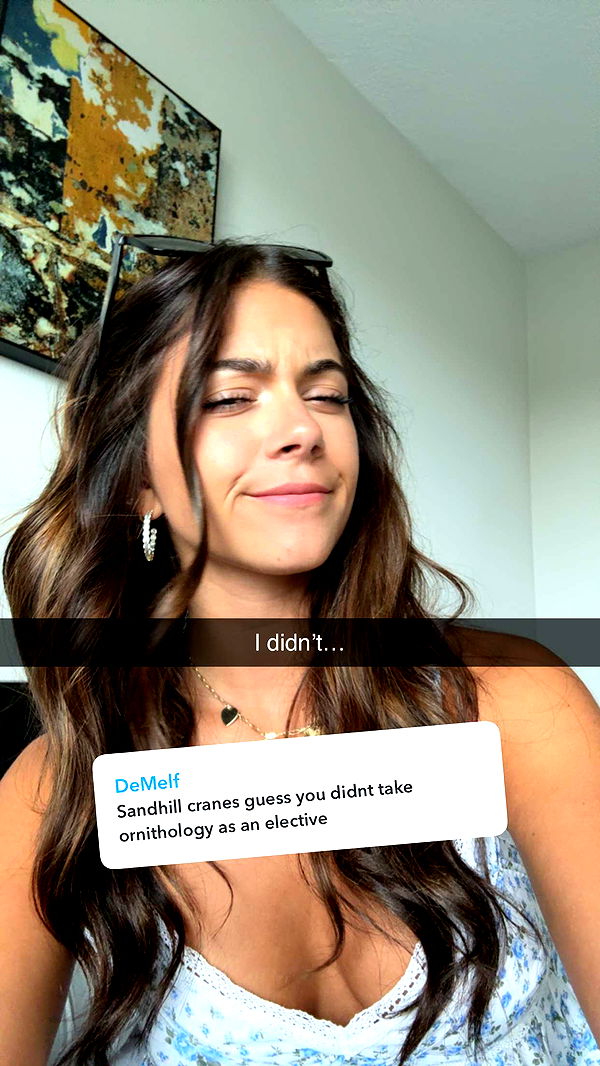 mia_sweitz image ~ Altpins