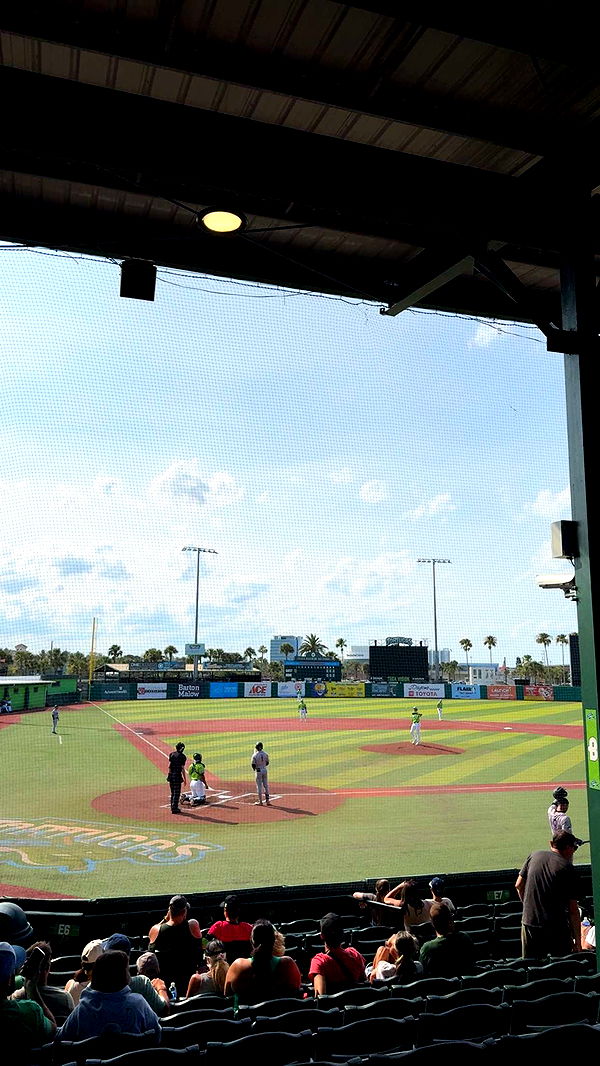 mia_sweitz image ~ Altpins