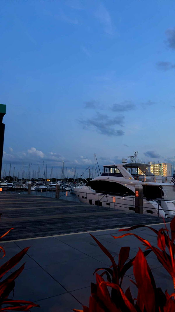 mia_sweitz image ~ Altpins