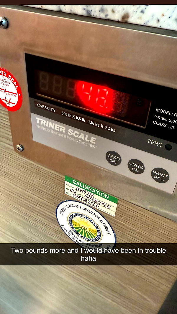 mia_sweitz image ~ Altpins