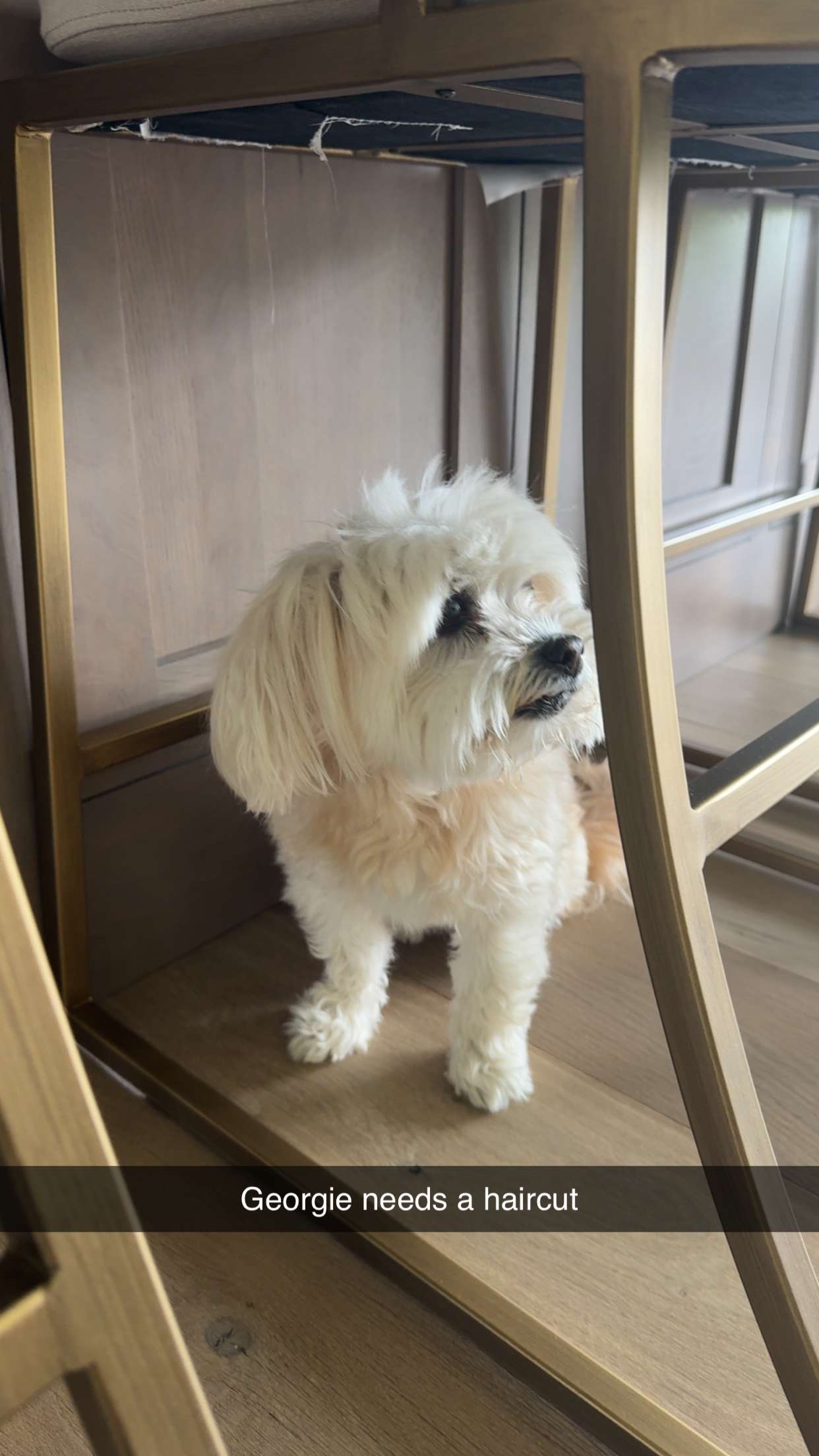 mia_sweitz snapchat image archive image