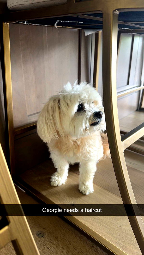 mia_sweitz image ~ Altpins