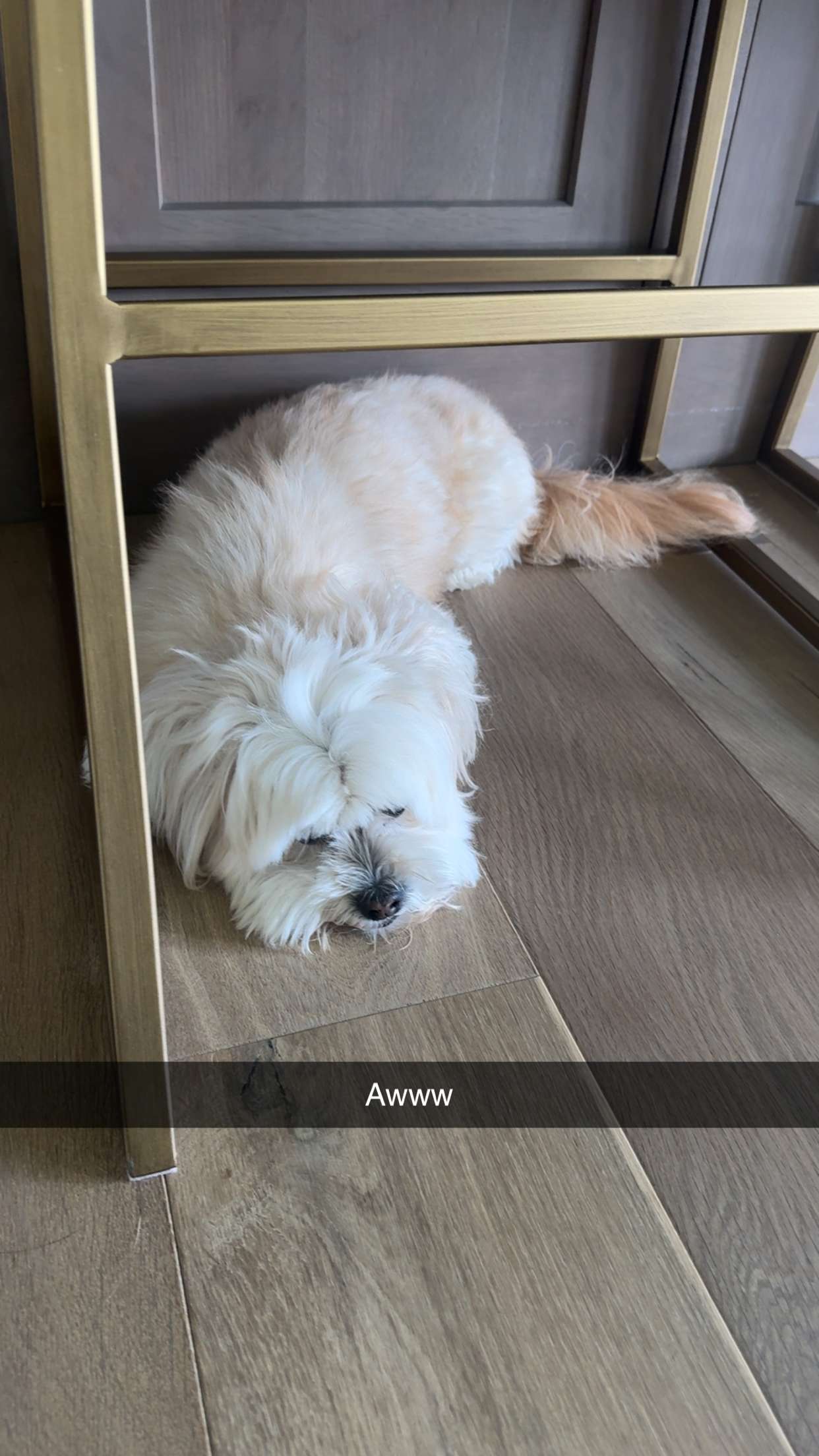 mia_sweitz snapchat image archive image