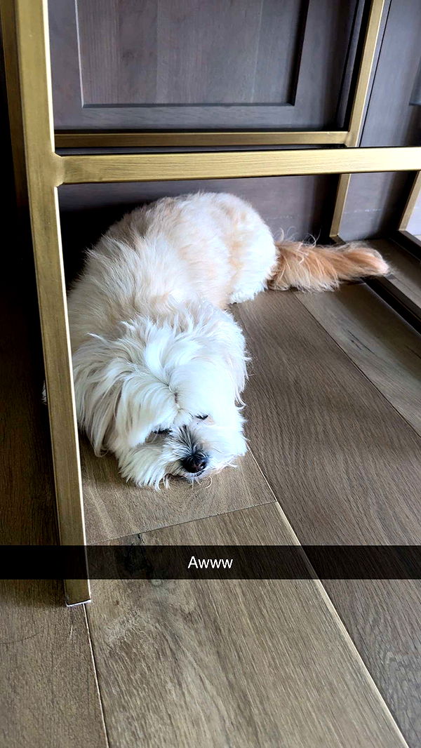 mia_sweitz image ~ Altpins