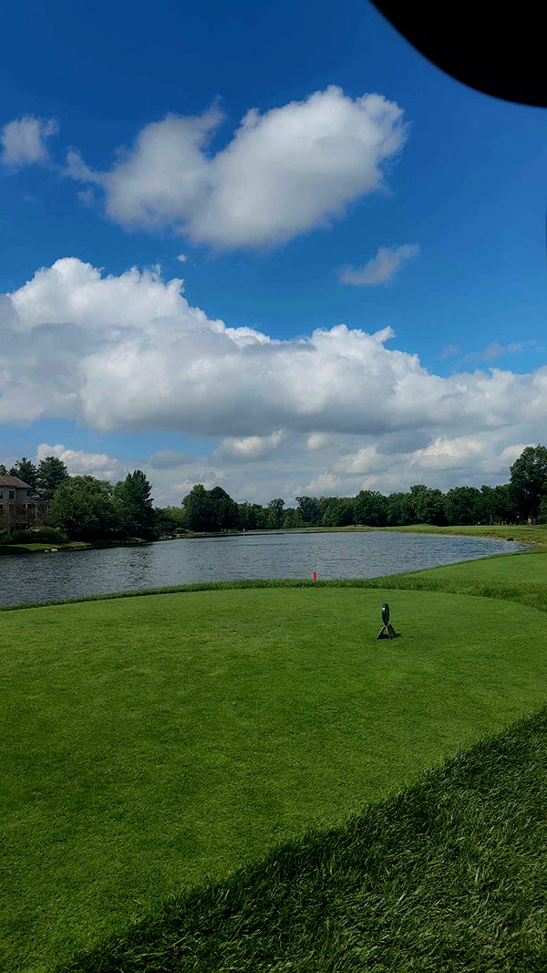 mia_sweitz image ~ Altpins