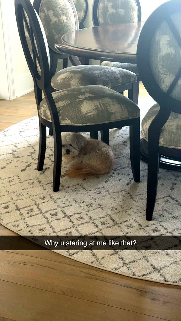 mia_sweitz image ~ Altpins