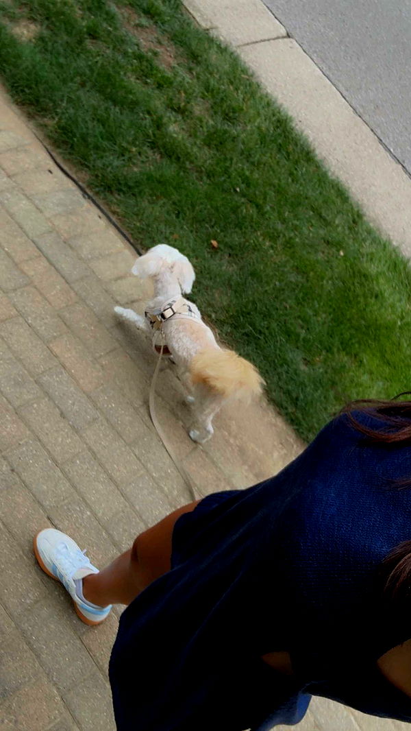 mia_sweitz image ~ Altpins