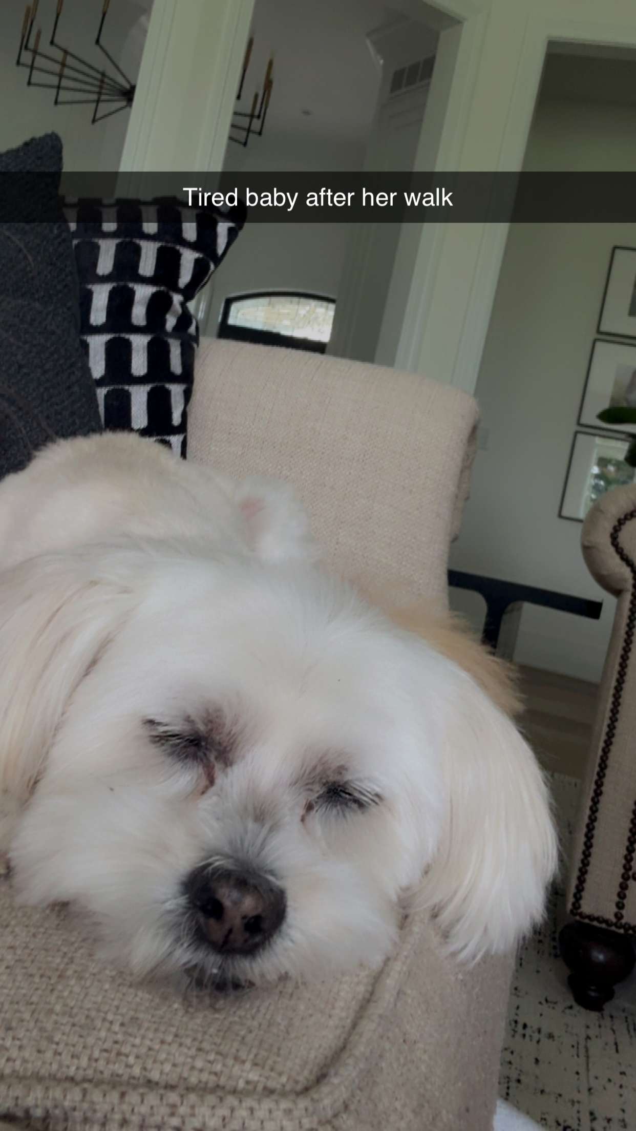 mia_sweitz snapchat image archive image