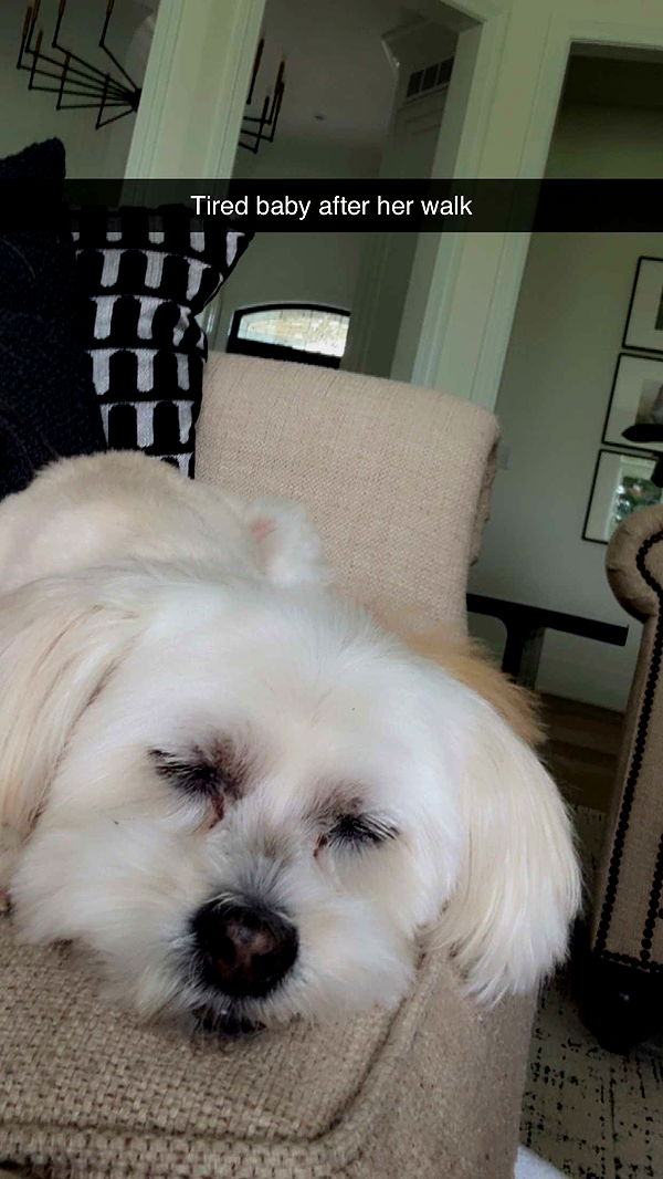 mia_sweitz image ~ Altpins