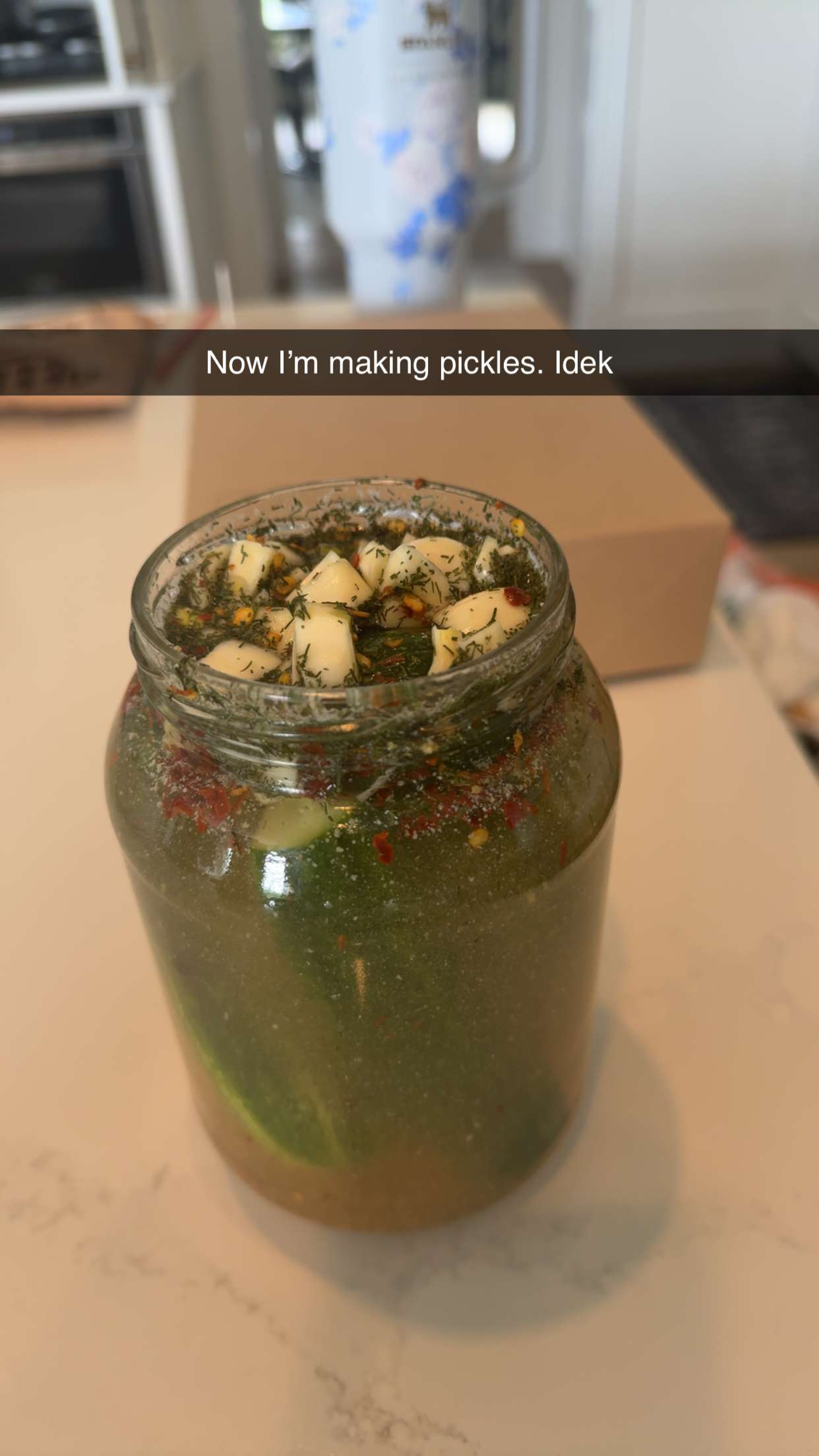 mia_sweitz snapchat image archive image