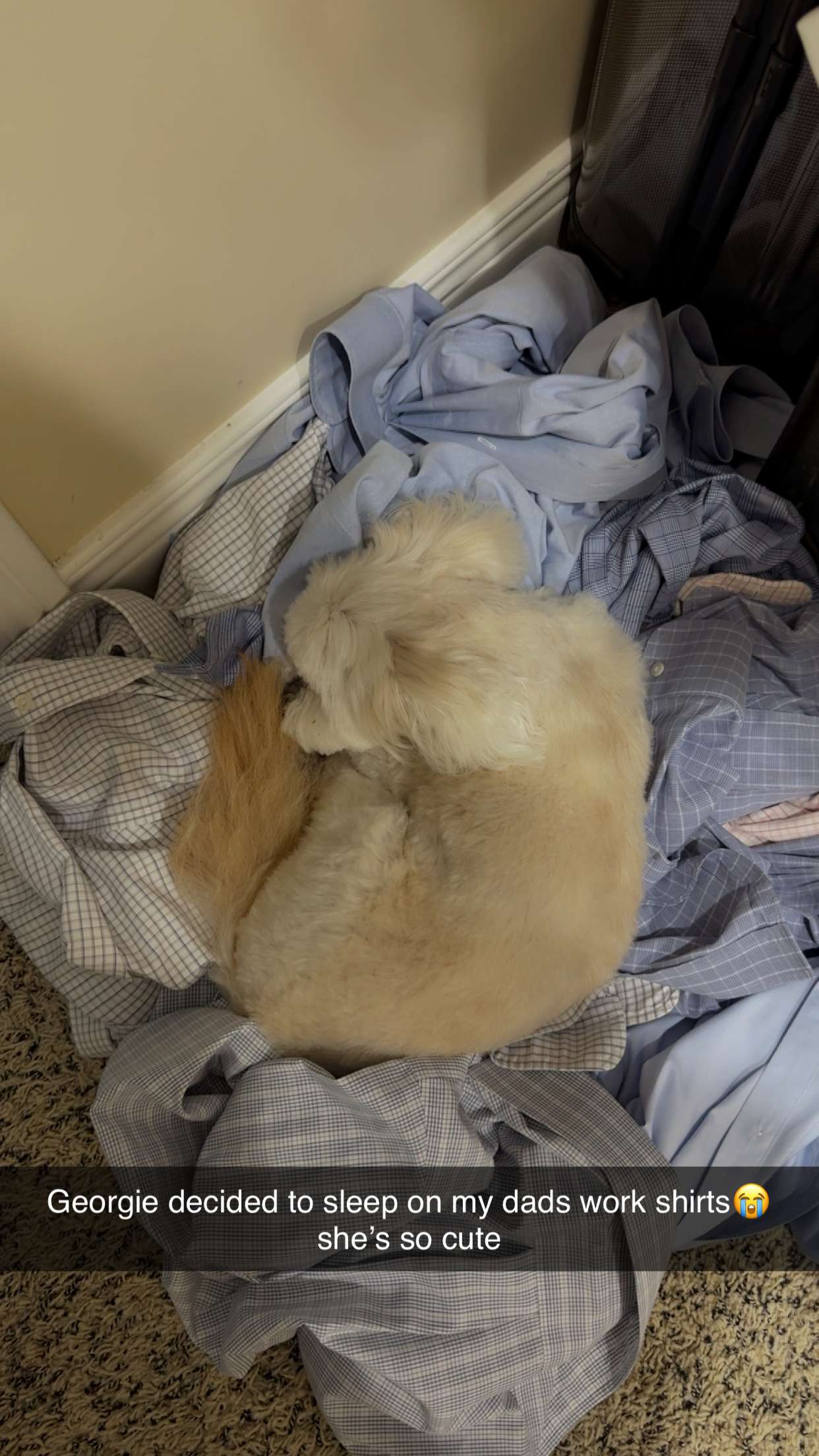 mia_sweitz snapchat image archive image