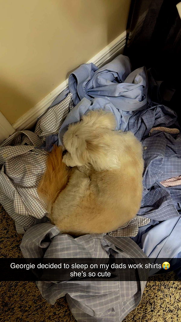 mia_sweitz image ~ Altpins