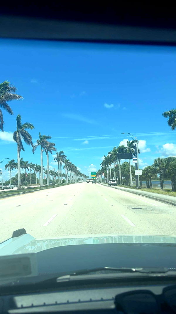 mia_sweitz image ~ Altpins