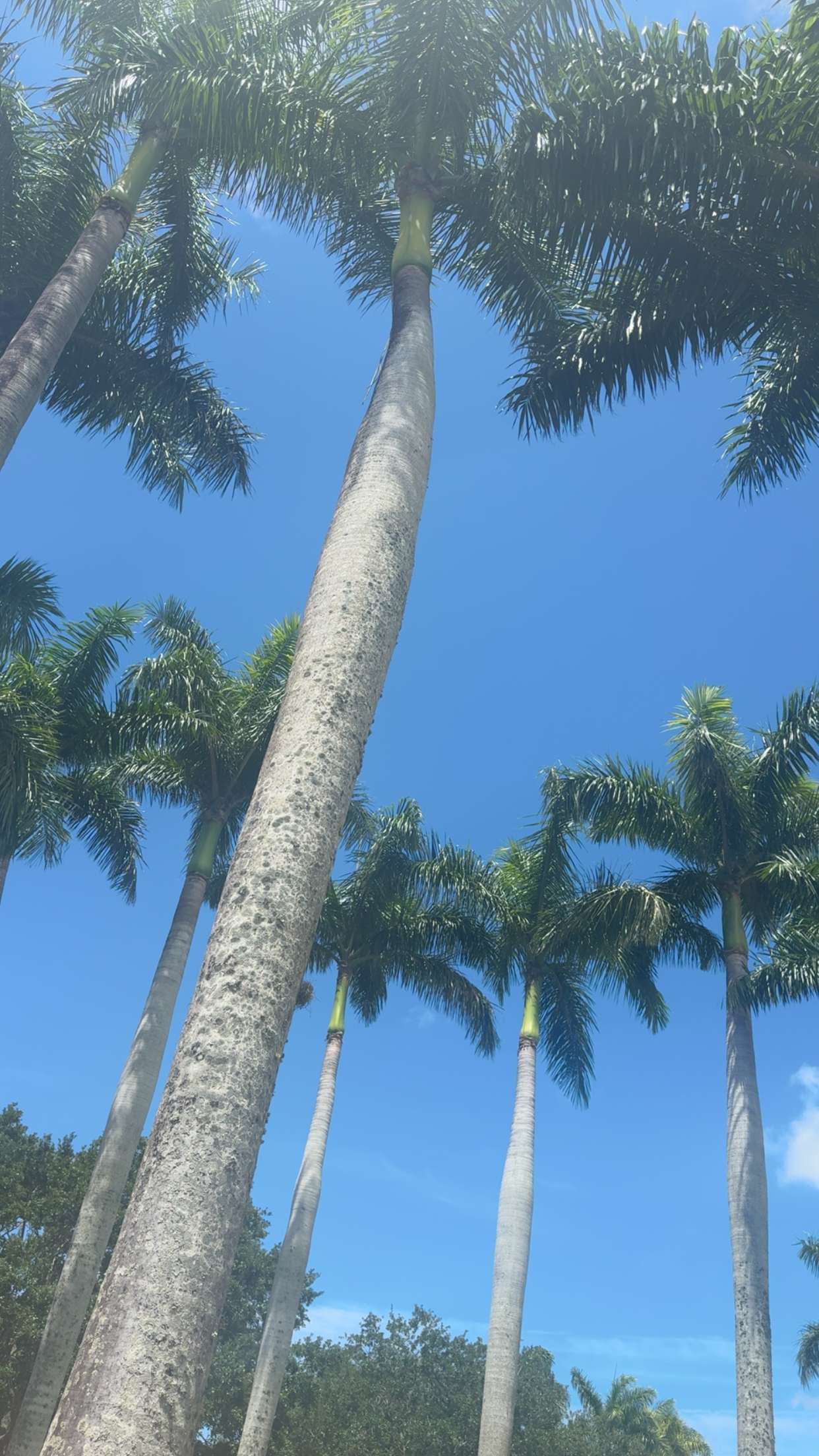 mia_sweitz snapchat image archive image