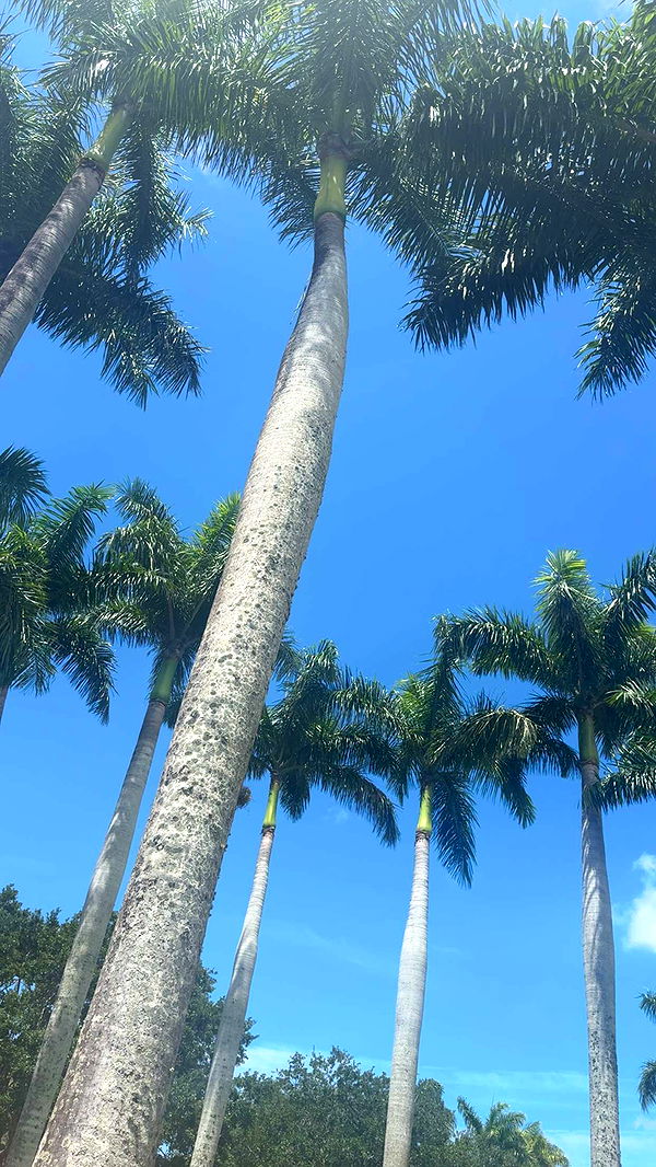 mia_sweitz image ~ Altpins